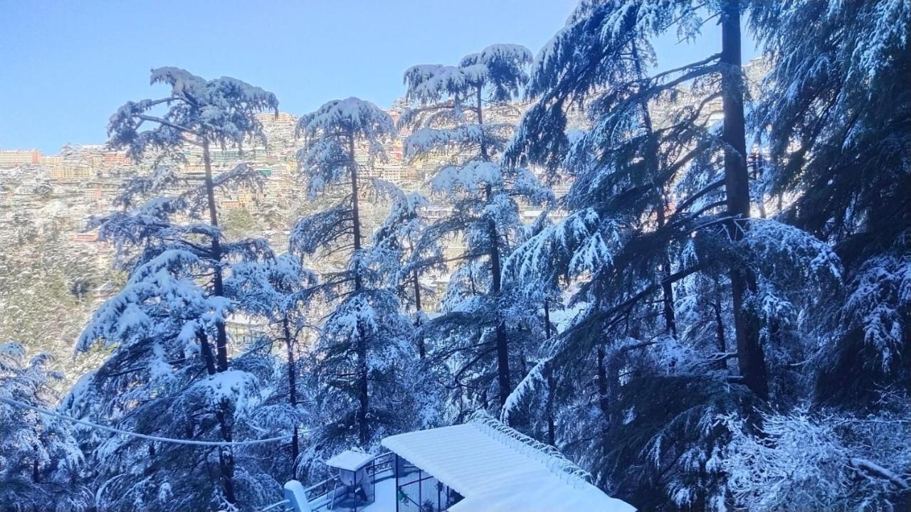 Mountain Zest-Simla Royale Near Mall Road-Free Pickup From Railway Station Simla Exterior foto